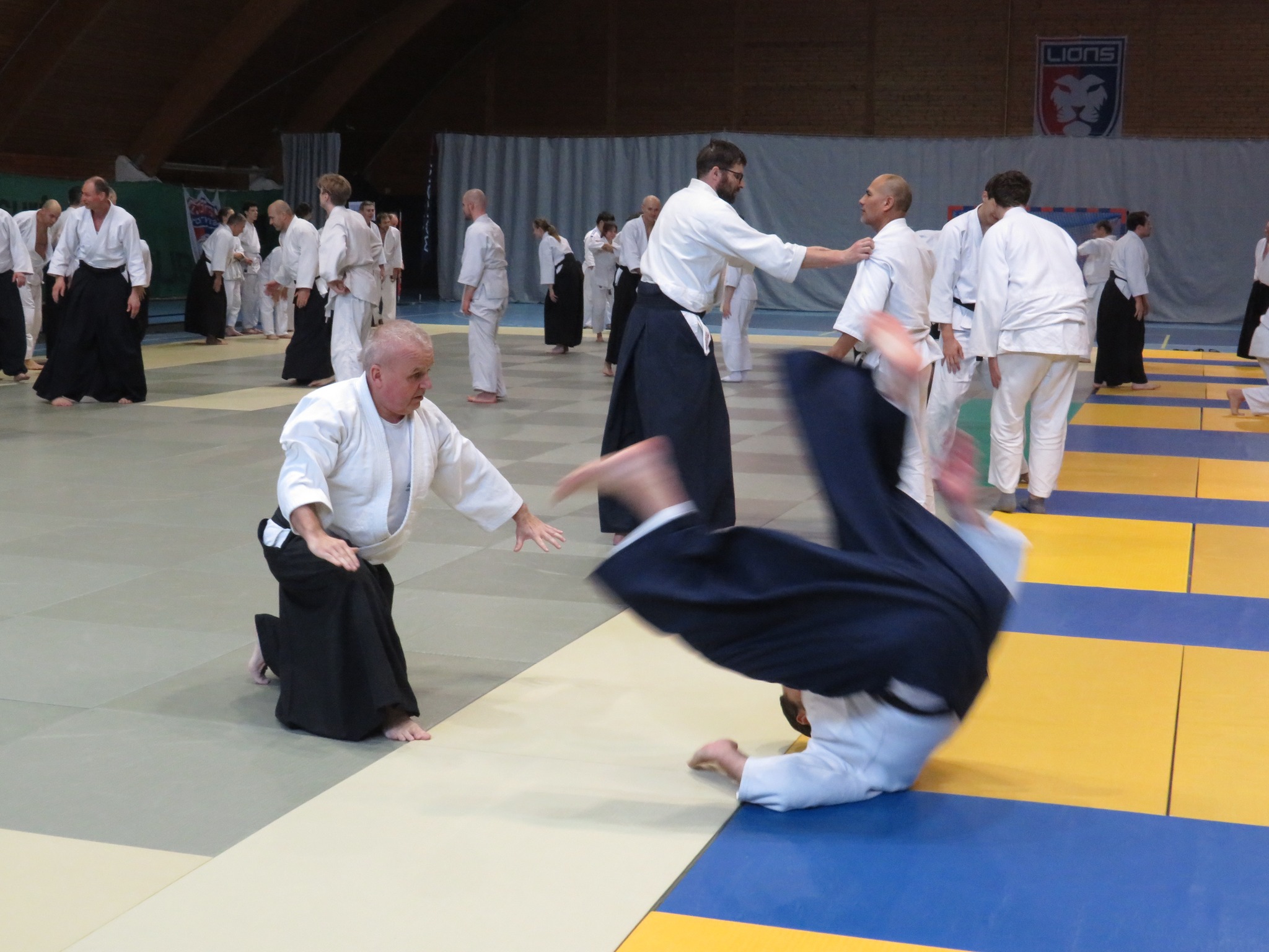 Zimná aikido škola v Hostivicích február 2025